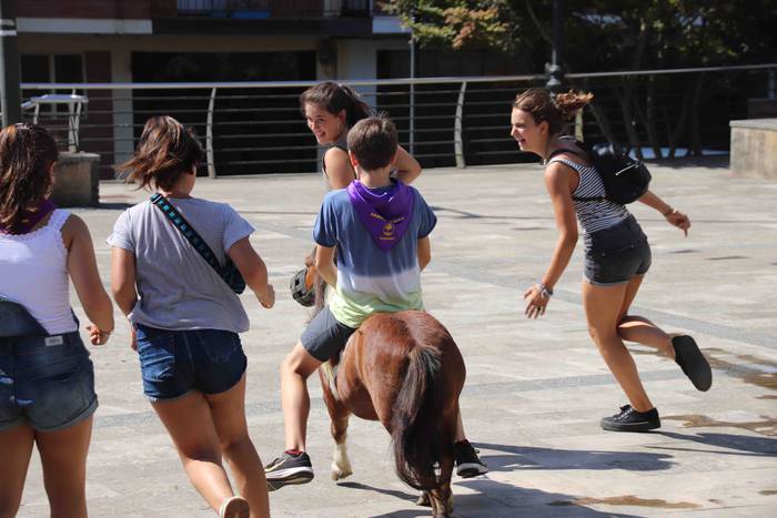 Festak hasteko, poniak eta z 41 1566993997843