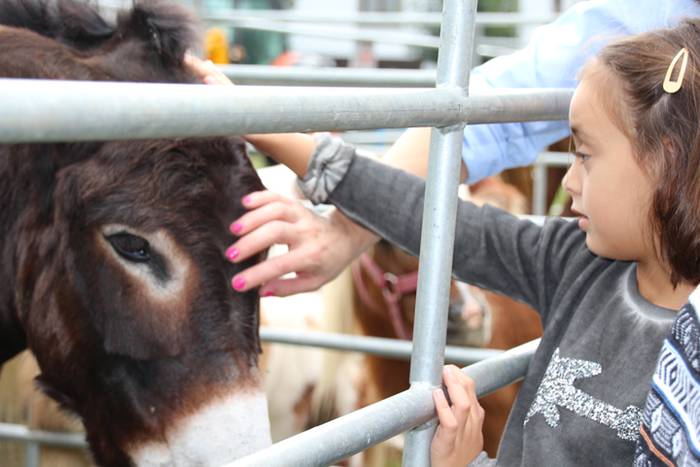 Hutsik egiten ez duen azoka berezia 27 1474813253191