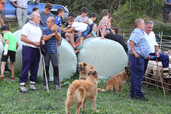 Artzaina eta txakurraren artea Amezketan 33 1472322522114