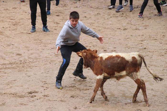 Txikienak zezen txikien aurr 11 1552240873339