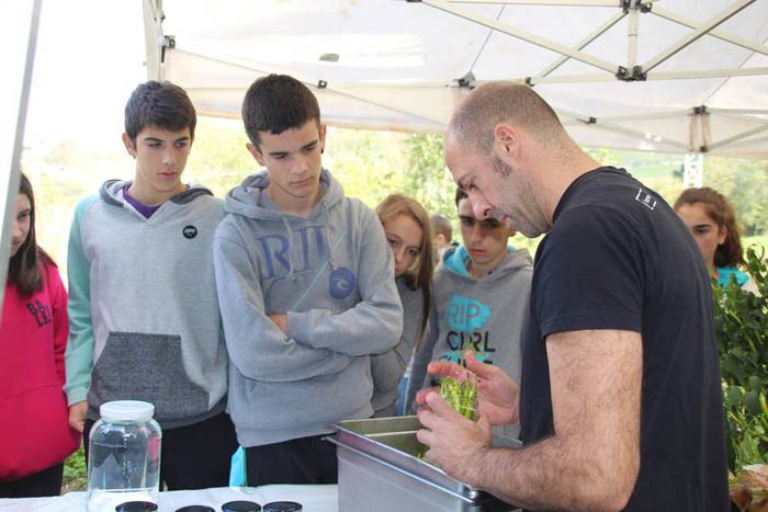 Piperraren zikloa 2015 22 1445442219422