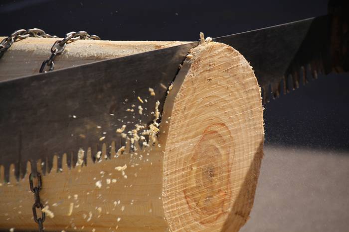 Berastegiko San Lorentzo jaiak 2016 12 1470421952423