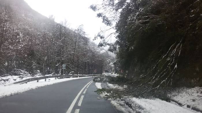 Elkartasun uholdea, elurtea  13 1515429988975