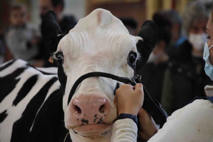 XII. Euskal Herriko Frisoi T 6 1637418664990