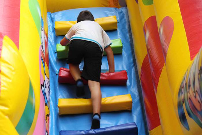 Festazaleen harrobia sendo 8 1564482903928