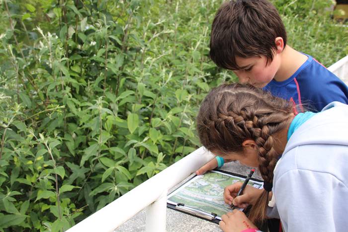 Espezia inbaditzaileak 1 1494600408285