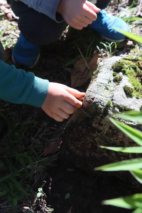 Elosegi parkeko biodibertsit 3 1559225129537