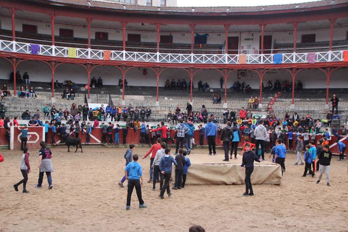 Txaranga eta zezenak piñata  20 1488738838725