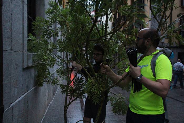 San joan eguna 2016 goiza 150 1466757486573