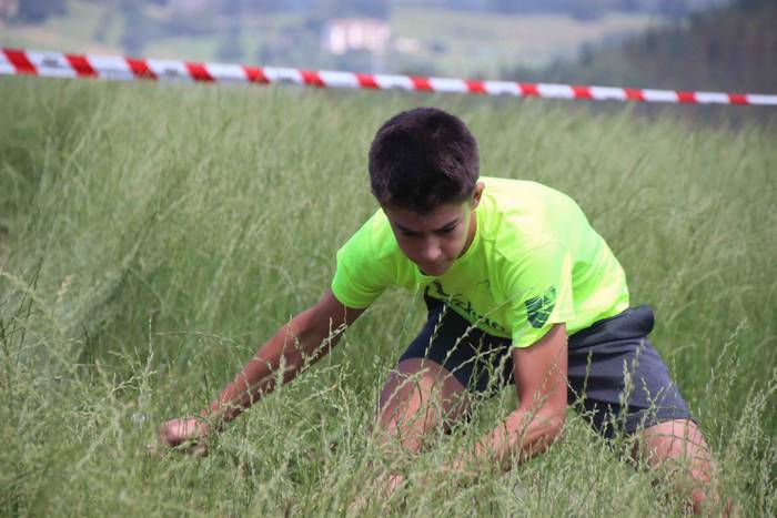 Erabaki dira Euskal Herriko  35 1532870214245