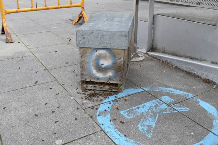 20.000 erle inguru Usabalen 12 1493910722755