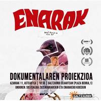 Dokumental proiekzioa