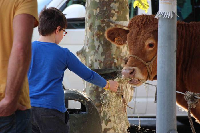 Goizez lan, arratsaldez fest 13 1572186204718