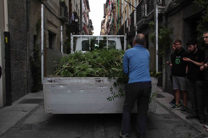 Berdez esnatzen da ekainaren 24a - 29