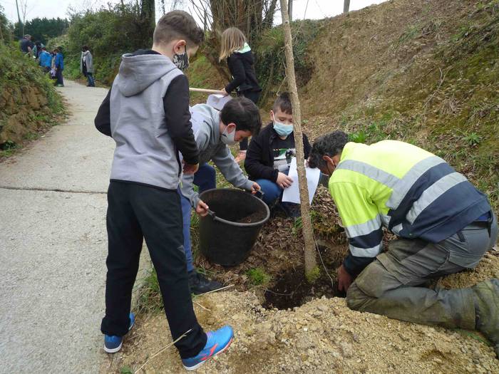 Zuhaitz landaketa Uzturpe ik 1 1616755852495