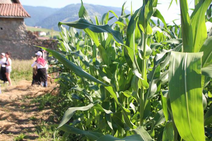 Garia bildu dute ogia egitek 66 1532423006455