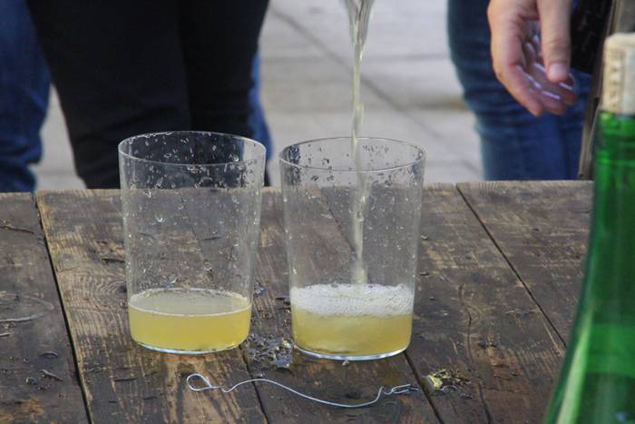 Sagardoz lagunduta jarraitu  6 1504375583027