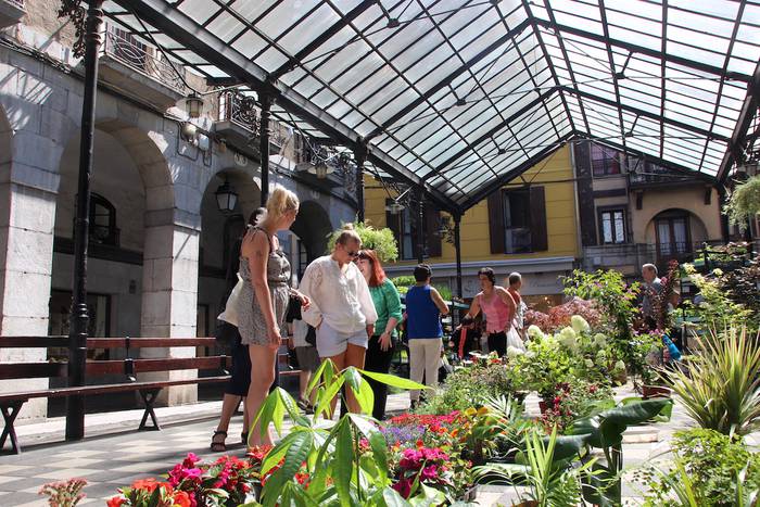 tolosako zokara bisita gidat 13 1657363889054