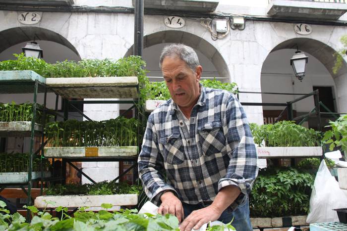 San Isidro Tolosan 2016 1 1463226508803