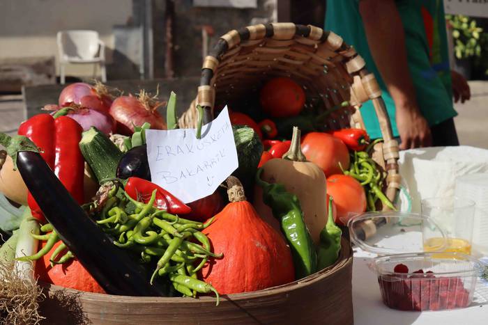 Zizurkilgo herrigunea azoka  11 1665320435867