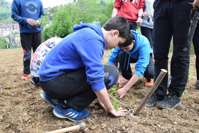 Piper landaketa uzturpe gureak  789 taldea 11 1464793770910