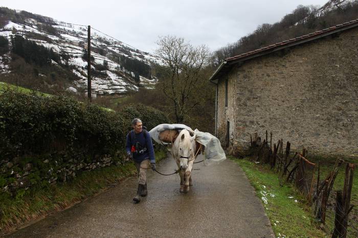 Lizartzako inauteriak 2018,  1 1517661587686