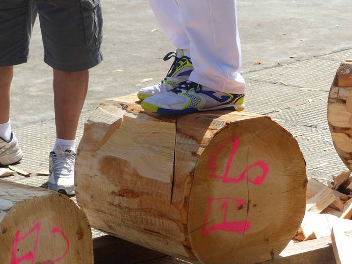 Kultura edo kirola, guztiak  98 1535469864467