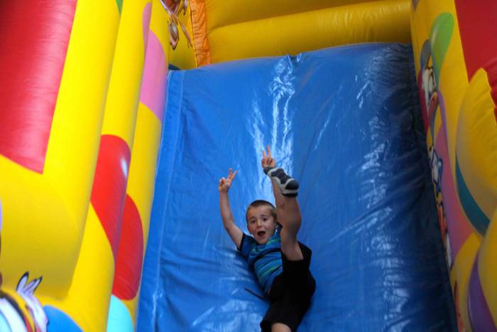 Festazaleen harrobia sendo 7 1564482902956