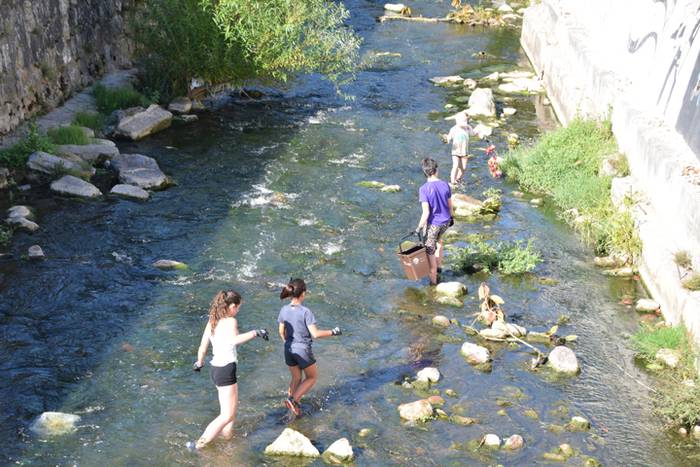 auzolana, ibarran 9 1499249963348