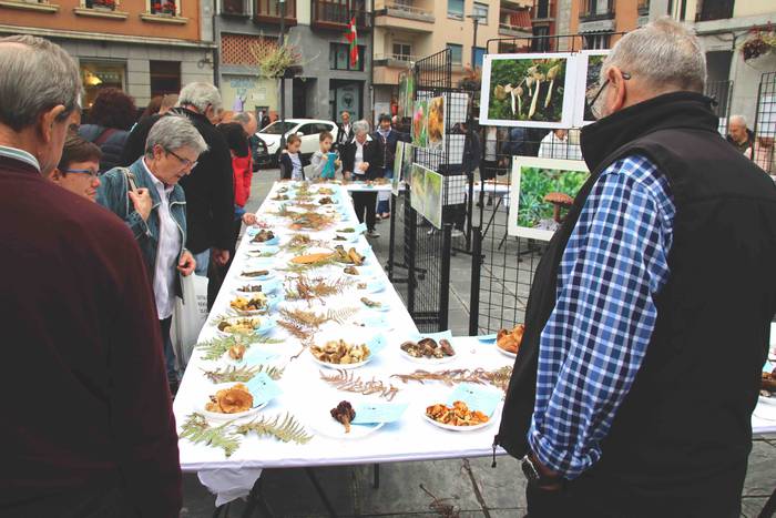 mikologika 2018 azoka pintxo 11 1540038177961