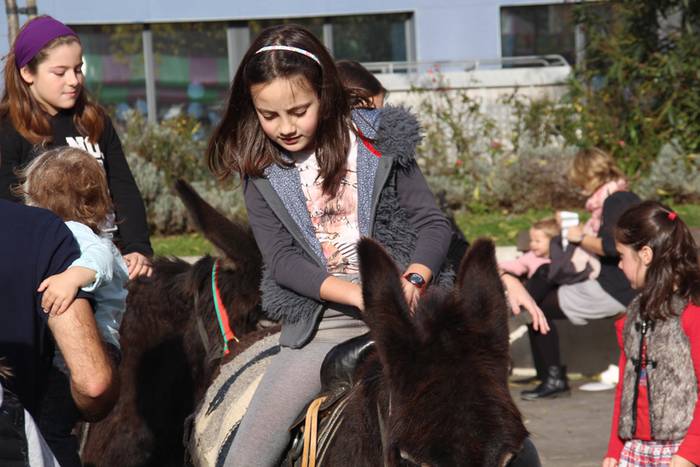 Tolosa Gabonetako Azoka berezia 2015 19 1450532619921