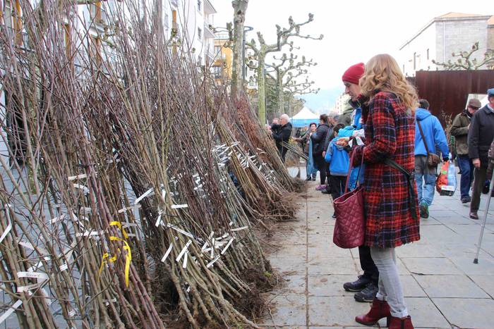 Tolosako Lore eta Landare Az 15 1549717199367