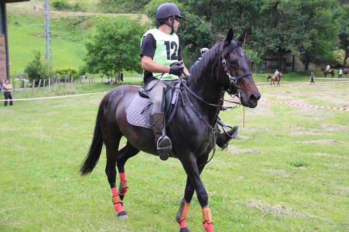 Zaldien gainean lehian 44 1497207369767