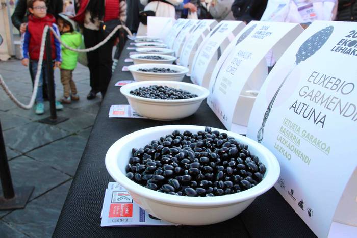 Tolosako Babarrunaren Festa  22 1542467355551