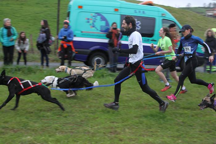 Zizurkil, txakur krosa 29 1490473971866