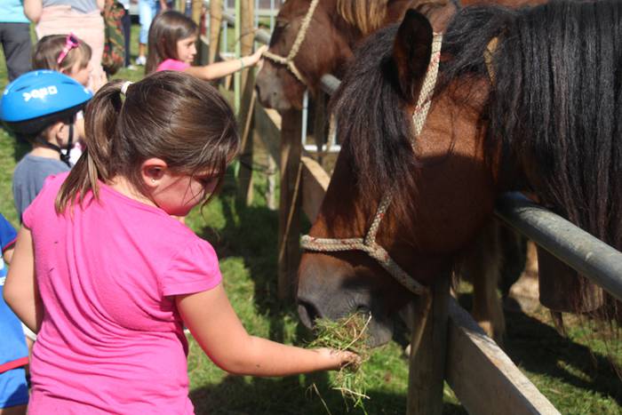 Berezia eta jendetsua 70 1506256853917