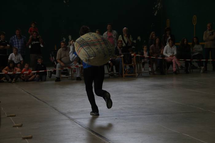 Bostekoa bizilagunei 4 1502818552564