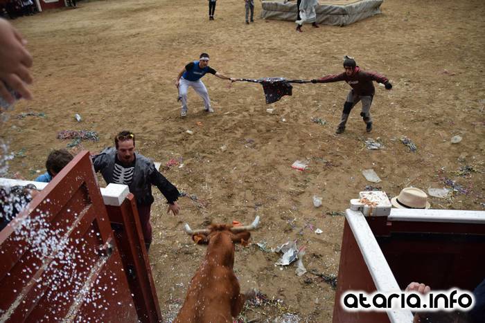 Pattar zezena 2016 59 1455012405507