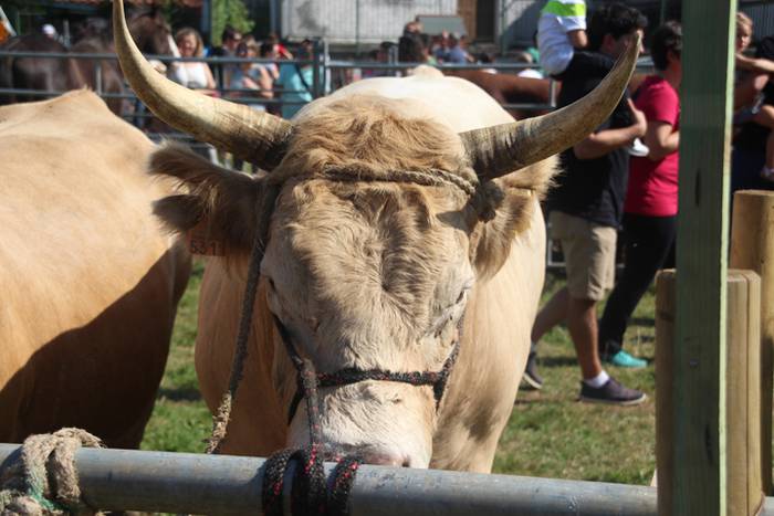 Berezia eta jendetsua 58 1506256770970