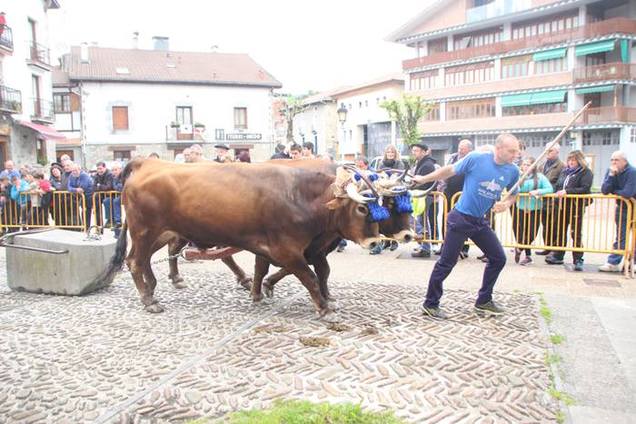 San Isidro Eguna Amasa Astea 12 1526395738289