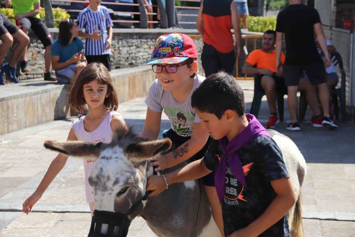 Festak hasteko, poniak eta z 15 1566993974111