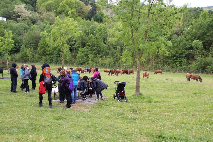 Amasamendira bota dute ganad 32 1493649309956