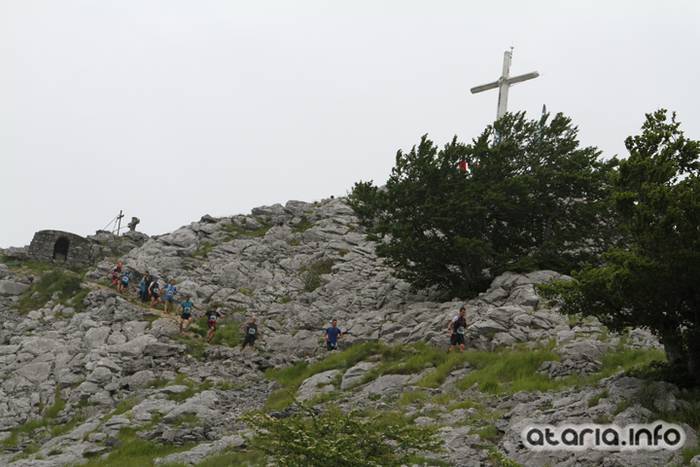 T3T tontor 2016 hernio 65 1466351094241