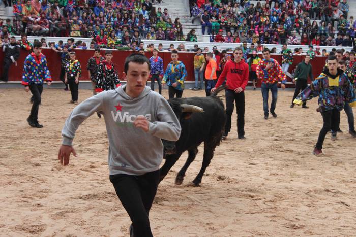 Inauteriak 2020, zezenak Ost 29 1582222555699