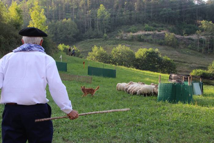 Artzaina eta txakurraren artea Amezketan 31 1472322505823