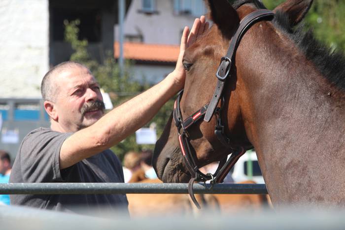 Berezia eta jendetsua 65 1506256821831