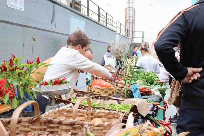 Postuz bete da Alegiako fron 4 1664109237674