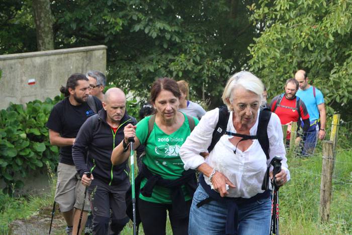 2016 bidea 14 1471775844107