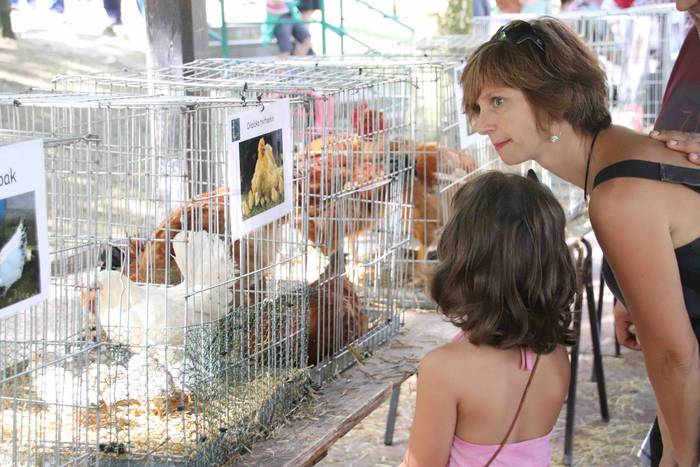 Inoiz baino bereziagoa 15 1568556712046