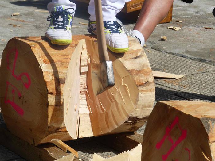 Kultura edo kirola, guztiak  96 1535469837876